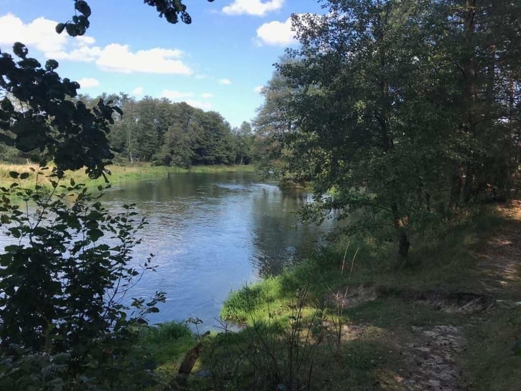 Zacisze Lesne Nad Pilica Panzió Spała Kültér fotó